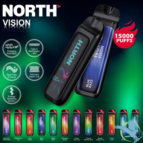 Blue Razz North Vision Vape 15K Disposable