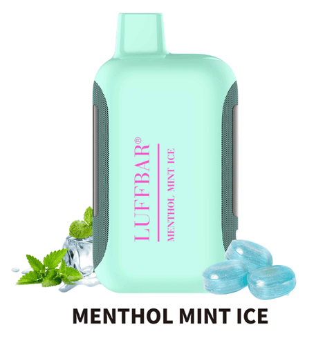 Luffbar Menthol mint ice Dually 20K Disposable vape