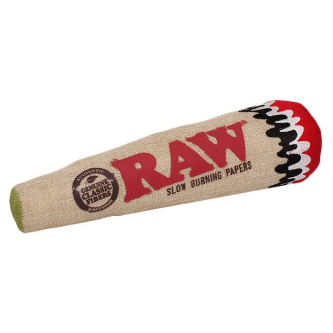 Raw Squeaky Cone Dog Toy