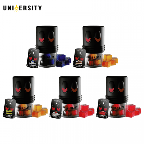 University Thc gummies live rosin 20 Count Jar