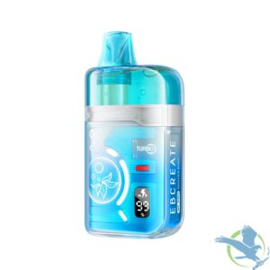 Winter Mint Ebcreate Bc Pro 40K Disposable