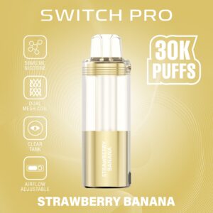 Switch Pro Disposable 30000